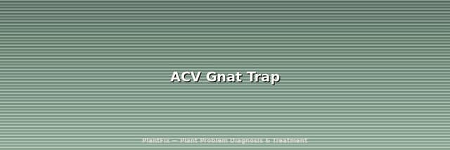 Apple Cider Vinegar Gnat Trap: The DIY Recipe That Actually Works (And When It Won't)