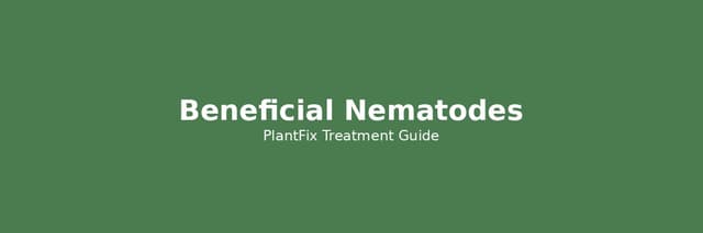 Beneficial Nematodes: Which Species Kills Your Specific Pest (Buying Guide by Pest Type)
