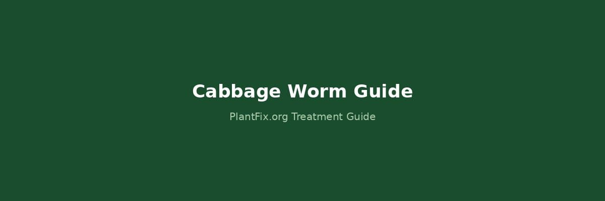Cabbage Worm vs Cabbage Looper vs Diamondback Moth: 3-Way ID + Organic Treatment