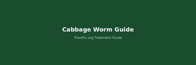 Cabbage Worm vs Cabbage Looper vs Diamondback Moth: 3-Way ID + Organic Treatment