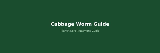 Cabbage Worm vs Cabbage Looper vs Diamondback Moth: 3-Way ID + Organic Treatment