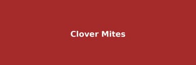 Clover Mites: The Tiny Red Invaders That Don't Bite (But DO Stain Everything They Touch)