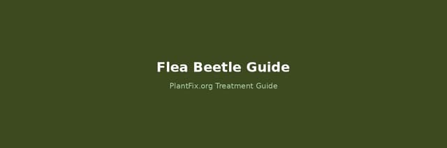 Flea Beetle: The Jumping Test, Crop-by-Crop Species Guide, and Why Seedlings Die in 48 Hours
