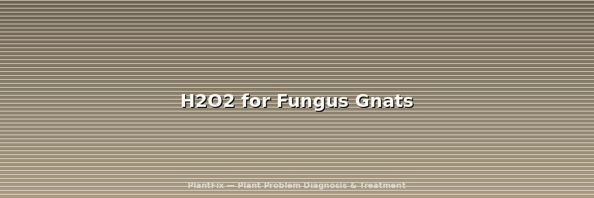 Hydrogen Peroxide for Fungus Gnats: The Exact Ratio & Why It Fails for Some People