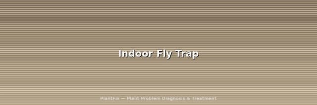 Best Indoor Fly Traps for Plant Owners (2026): What Actually Works