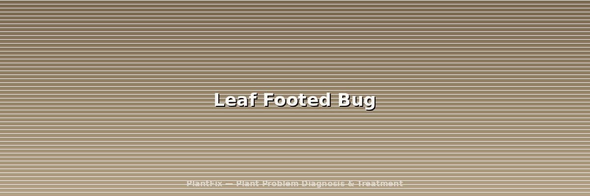 Leaf Footed Bug vs Assassin Bug: How to Tell Them Apart (And Not Kill the Wrong One)