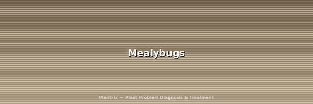 How to Get Rid of Mealybugs on Houseplants: The Complete Treatment Guide