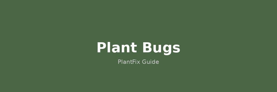 Plant Bugs: How to Identify & Get Rid of Every Common Houseplant Pest