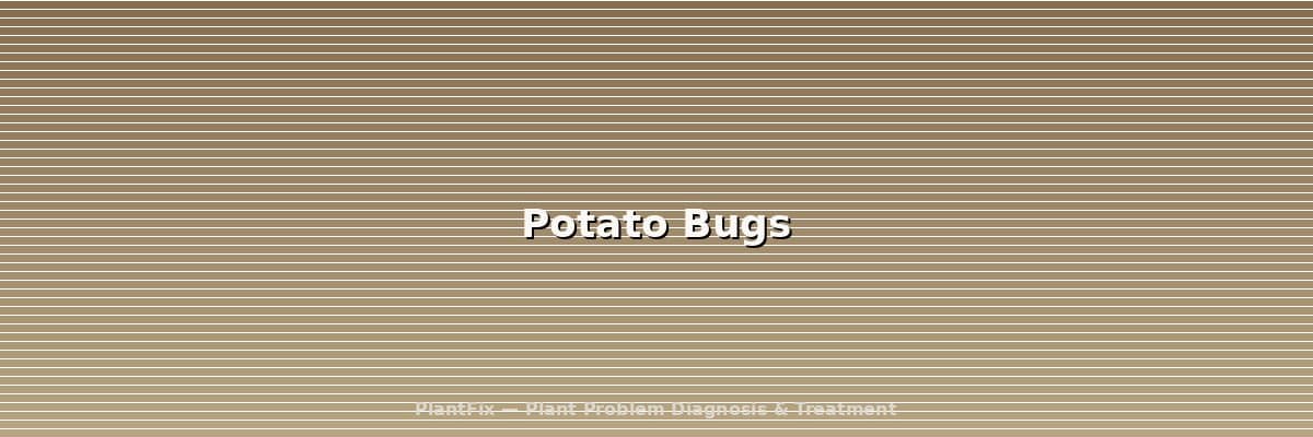 Potato Bugs: 3 Different Insects, 1 Confusing Name (ID Guide)