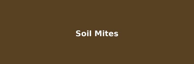 Soil Mites in Houseplants: The 4-Type ID Guide (Most Are Helping Your Plant, Not Hurting It)