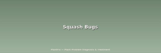 Squash Bugs: The Week-by-Week Battle Plan to Save Your Garden