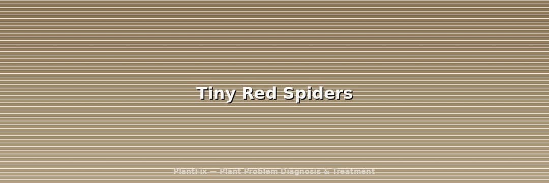 Tiny Red Spiders: Clover Mites vs Spider Mites vs Red Velvet Mites (ID Guide)
