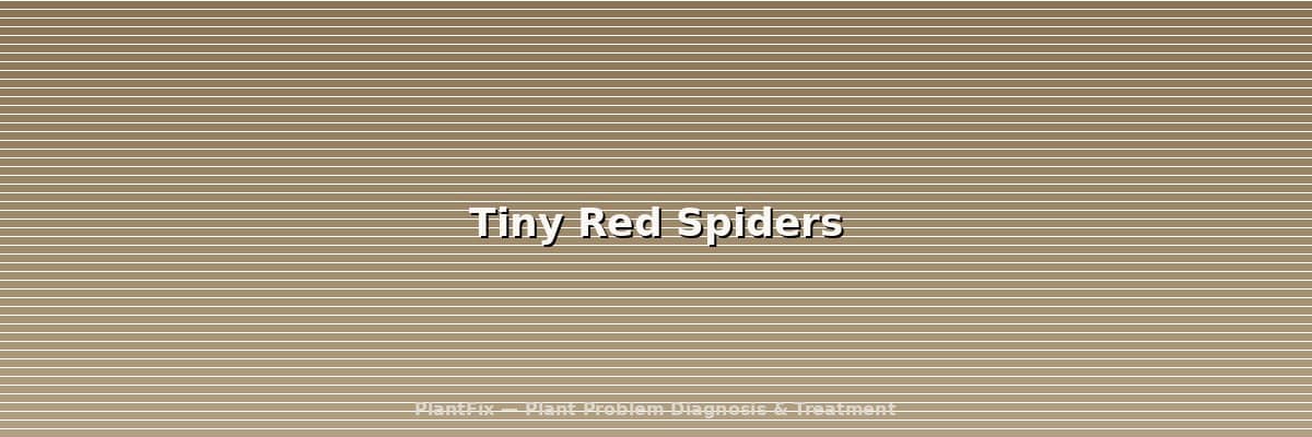 Tiny Red Spiders: Clover Mites vs Spider Mites vs Red Velvet Mites (ID Guide)