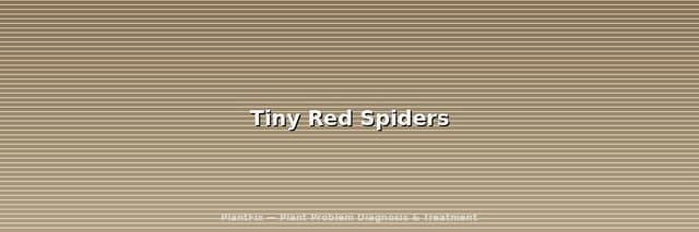 Tiny Red Spiders: Clover Mites vs Spider Mites vs Red Velvet Mites (ID Guide)