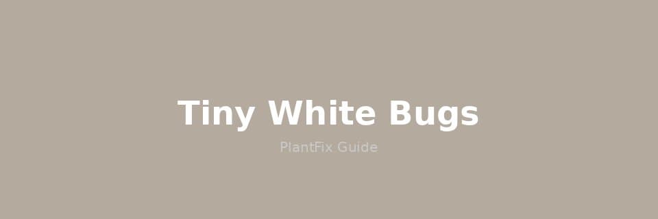 Tiny White Bugs on Plants: Identify & Eliminate Mealybugs, Whiteflies & More